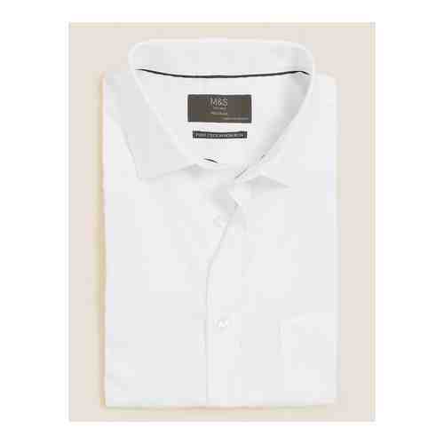 Рубашка стандартного кроя в полоску из чистого хлопка арт. T118726